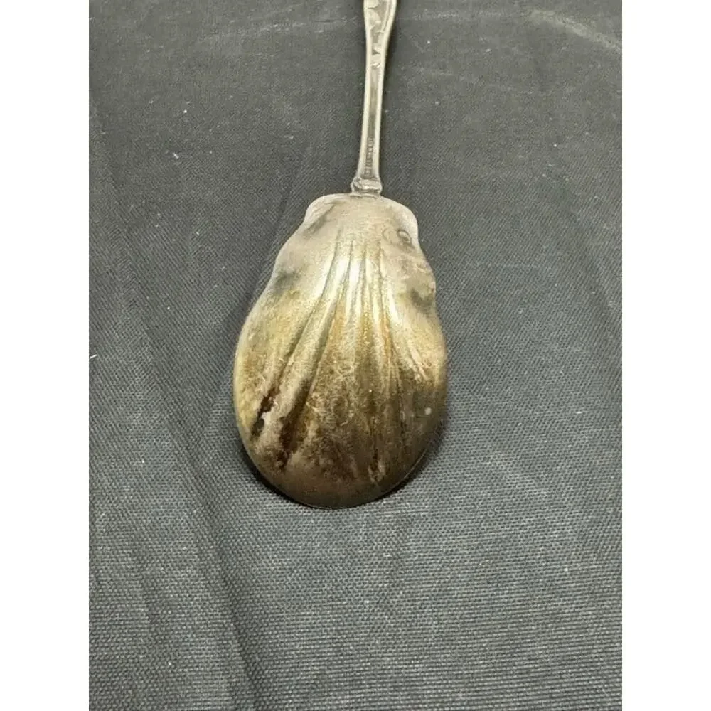 Antique Wallace Sterling Silver 1902 Floral Berry Sugar Spoon Shell Art Nouveau